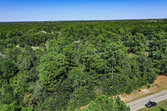 a view of a field with plants