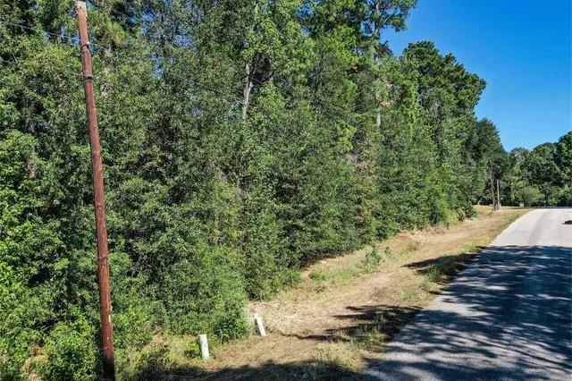 a view of a forest with trees