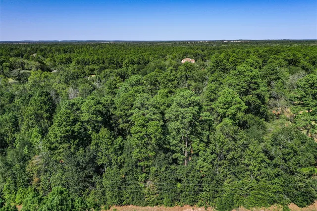 a view of a field with plants and trees