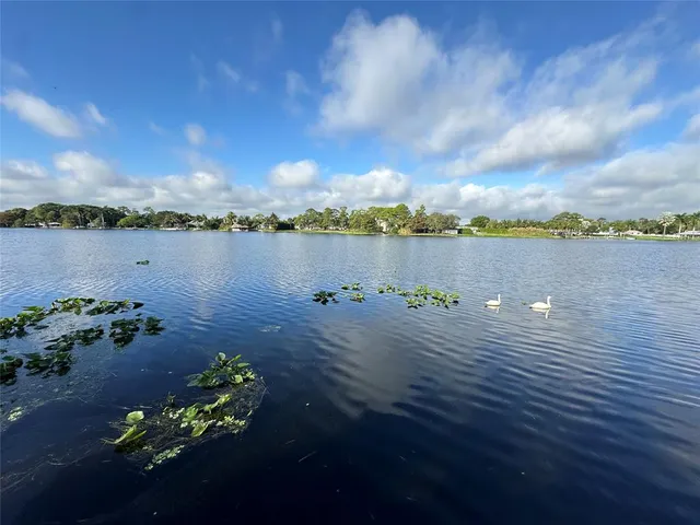 an aerial view of a houses with lake view