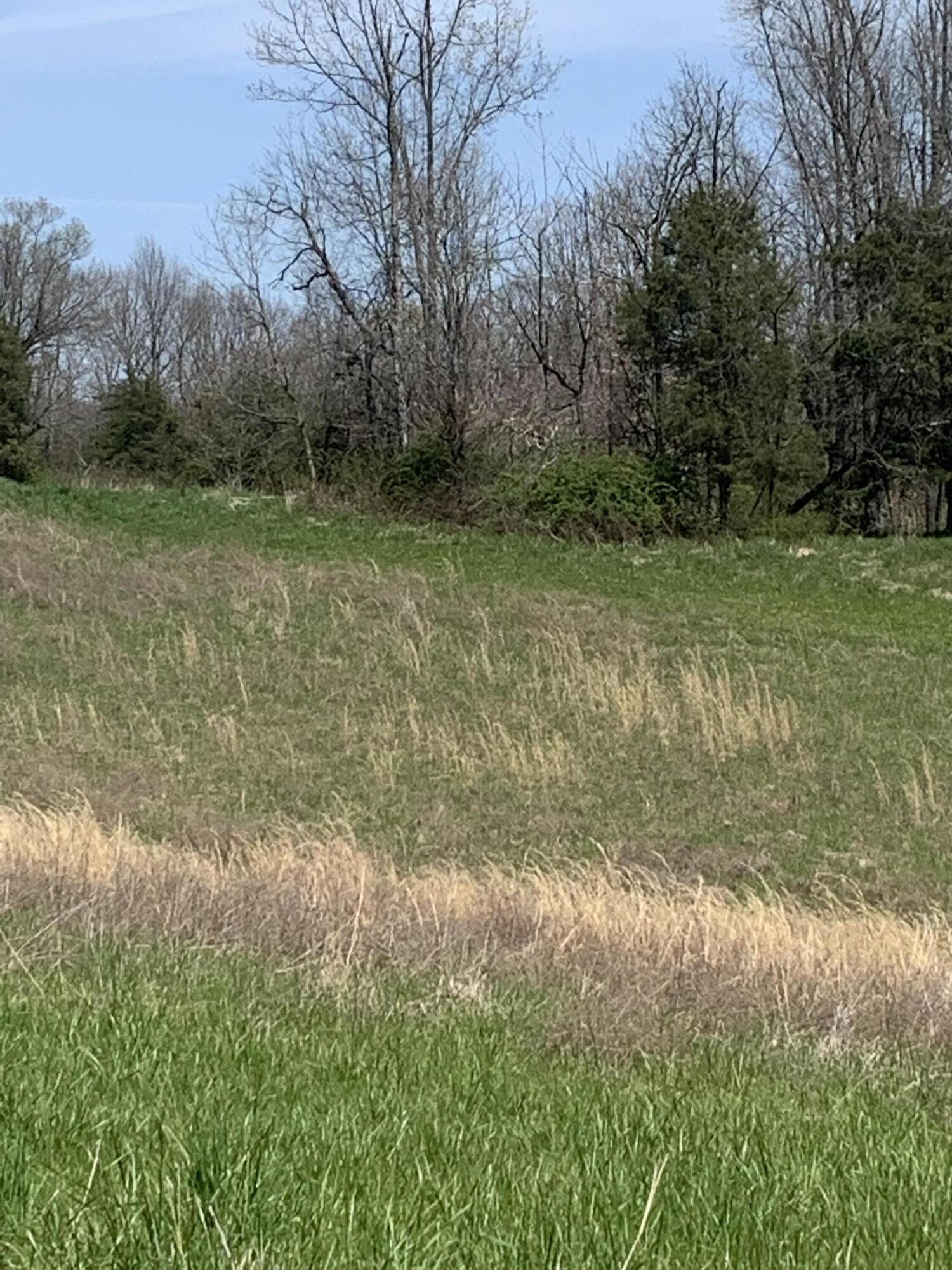 1000 Britton Road Harrodsburg, KY 40330 - Photo 37 of 88 83F56DFB-1F65-411C-958B-6E5D8E92E4A0