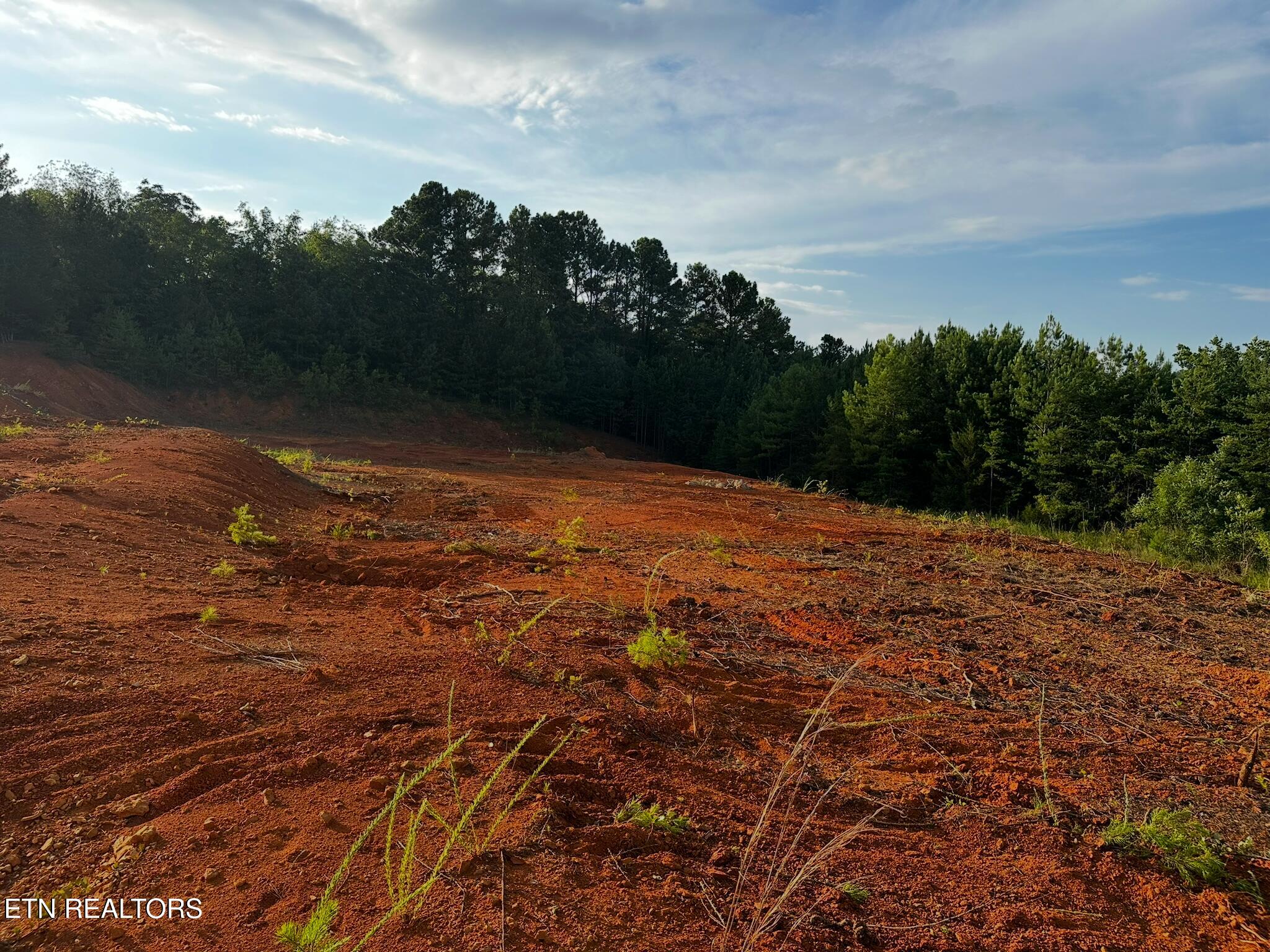 East Meeting Street Dandridge, TN 37725 - Photo 2 of 12 IMG_3639
