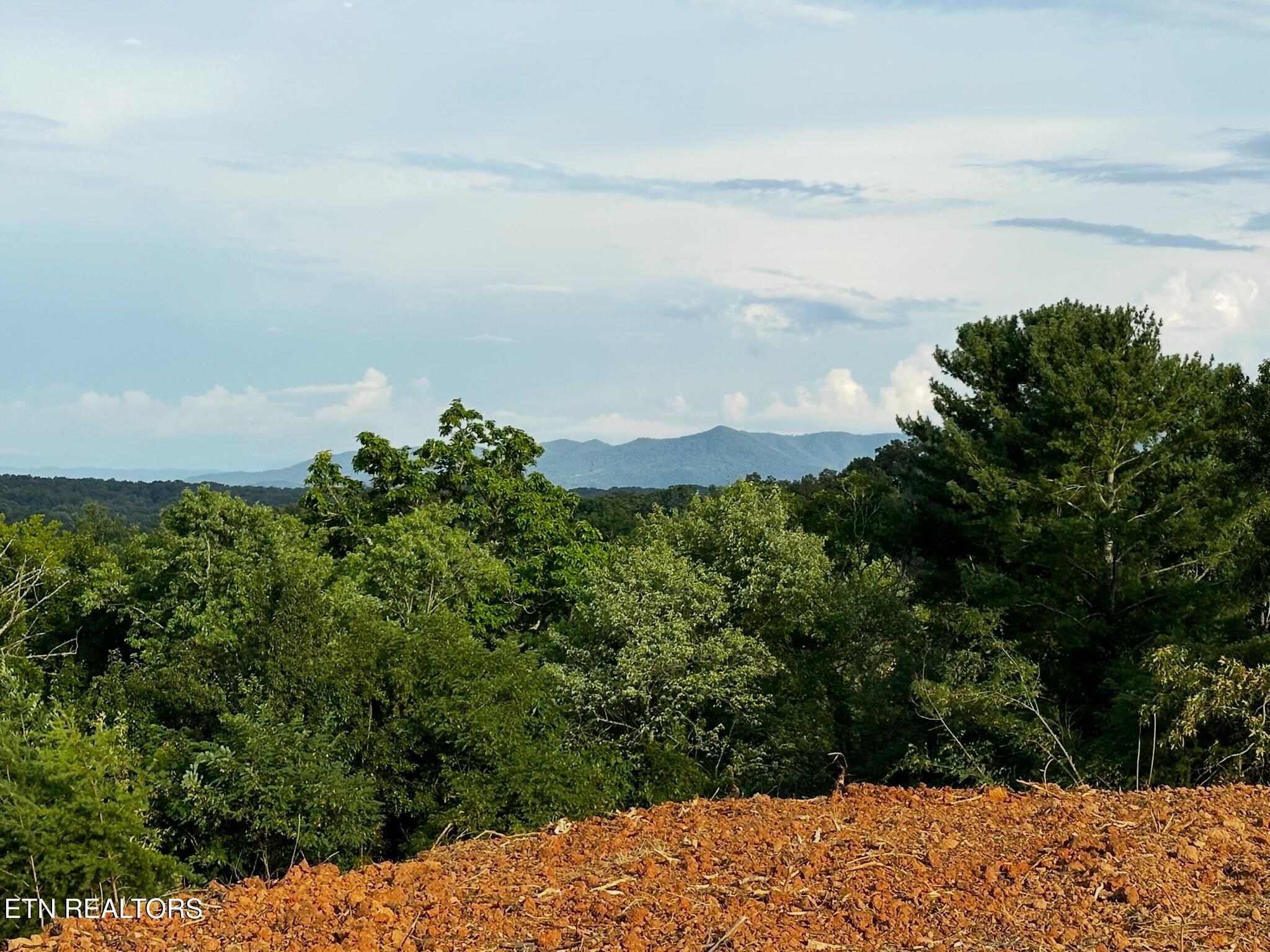 East Meeting Street Dandridge, TN 37725 - Photo 4 of 12 IMG_3637