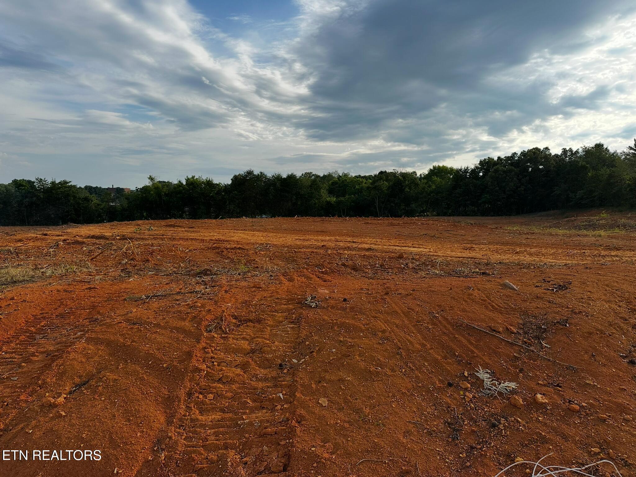 East Meeting Street Dandridge, TN 37725 - Photo 10 of 12 IMG_3630