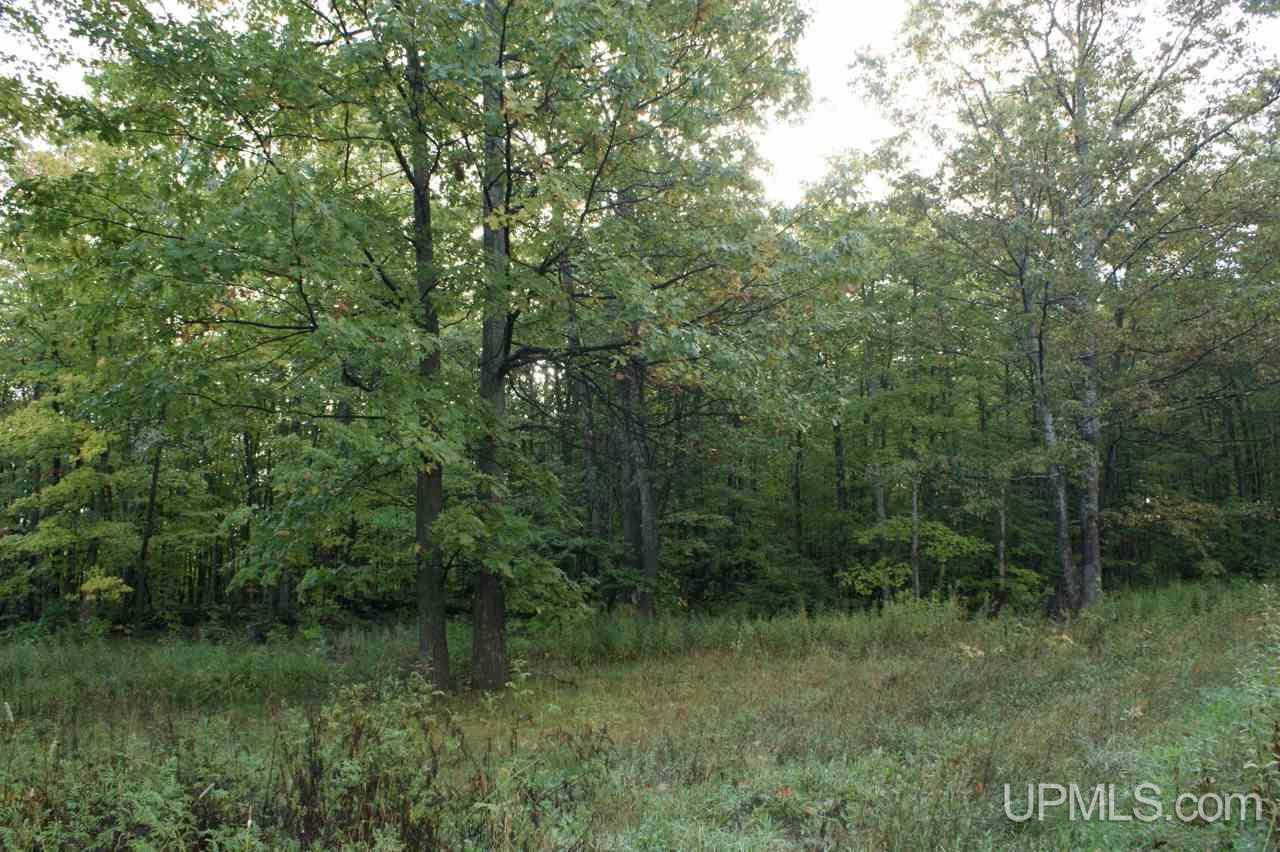 33 Makinen Road Jl Road Negaunee, MI 49866 - Photo 4 of 11