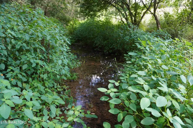 $649,900 | 2840-2830 Robinson Crk Road, Morristown, TN 37813