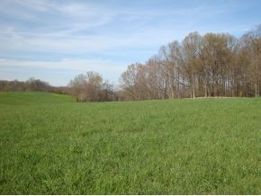 Acreage