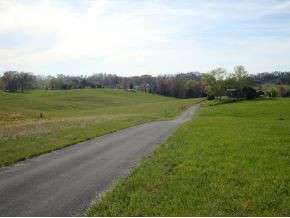 View from front of Property