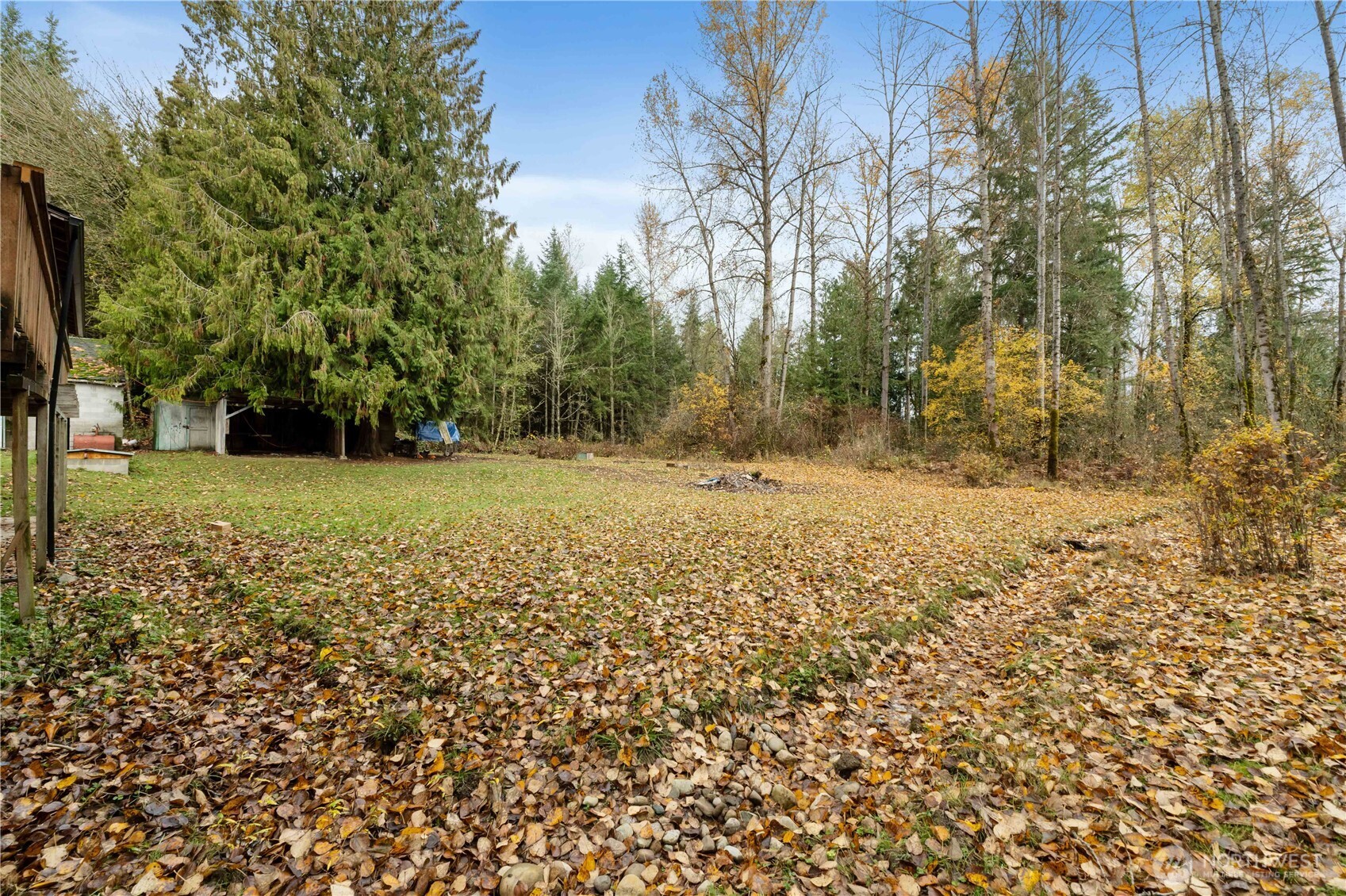 29621 Webster Road East Graham, WA 98338 - Photo 27 of 35 a view of a yard with large trees