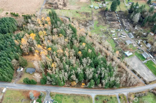 a view of a yard with plants