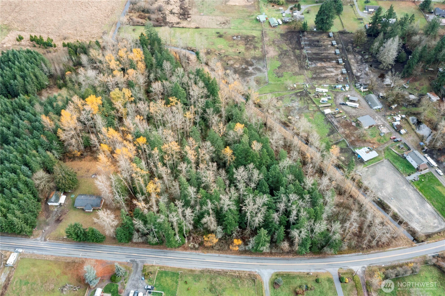 29621 Webster Road East Graham, WA 98338 - Photo 32 of 35 a view of a yard with plants