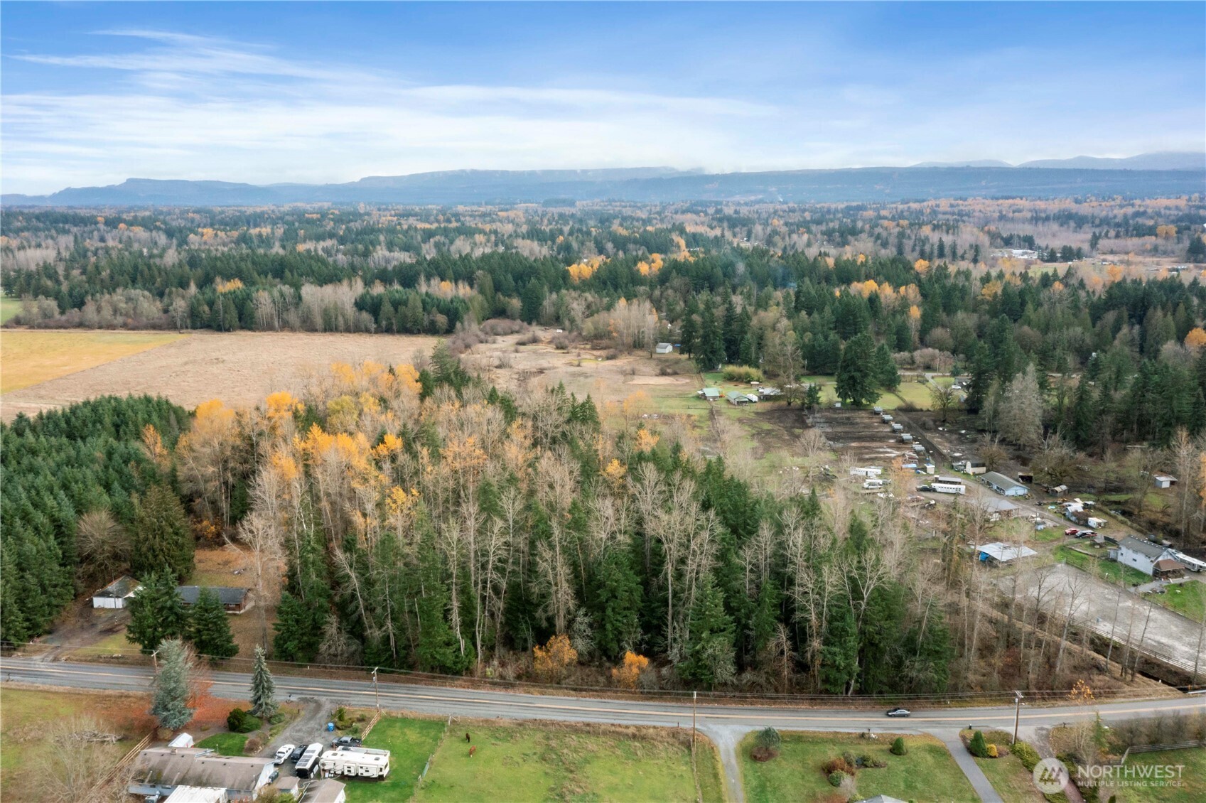 29621 Webster Road East Graham, WA 98338 - Photo 34 of 35 a view of a city with lush green forest