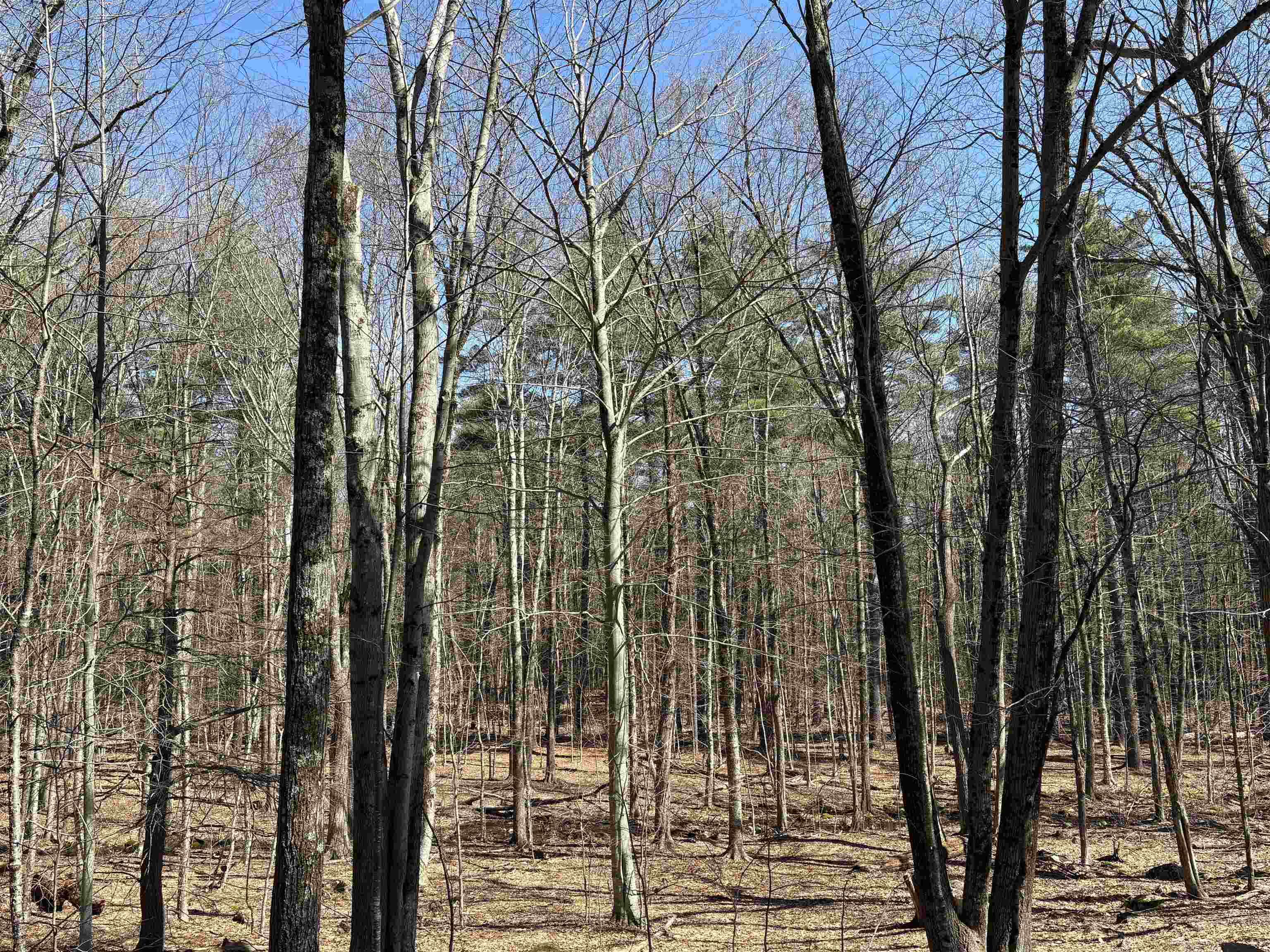 79-1 Currier Road Candia, NH 03034 - Photo 26 of 33