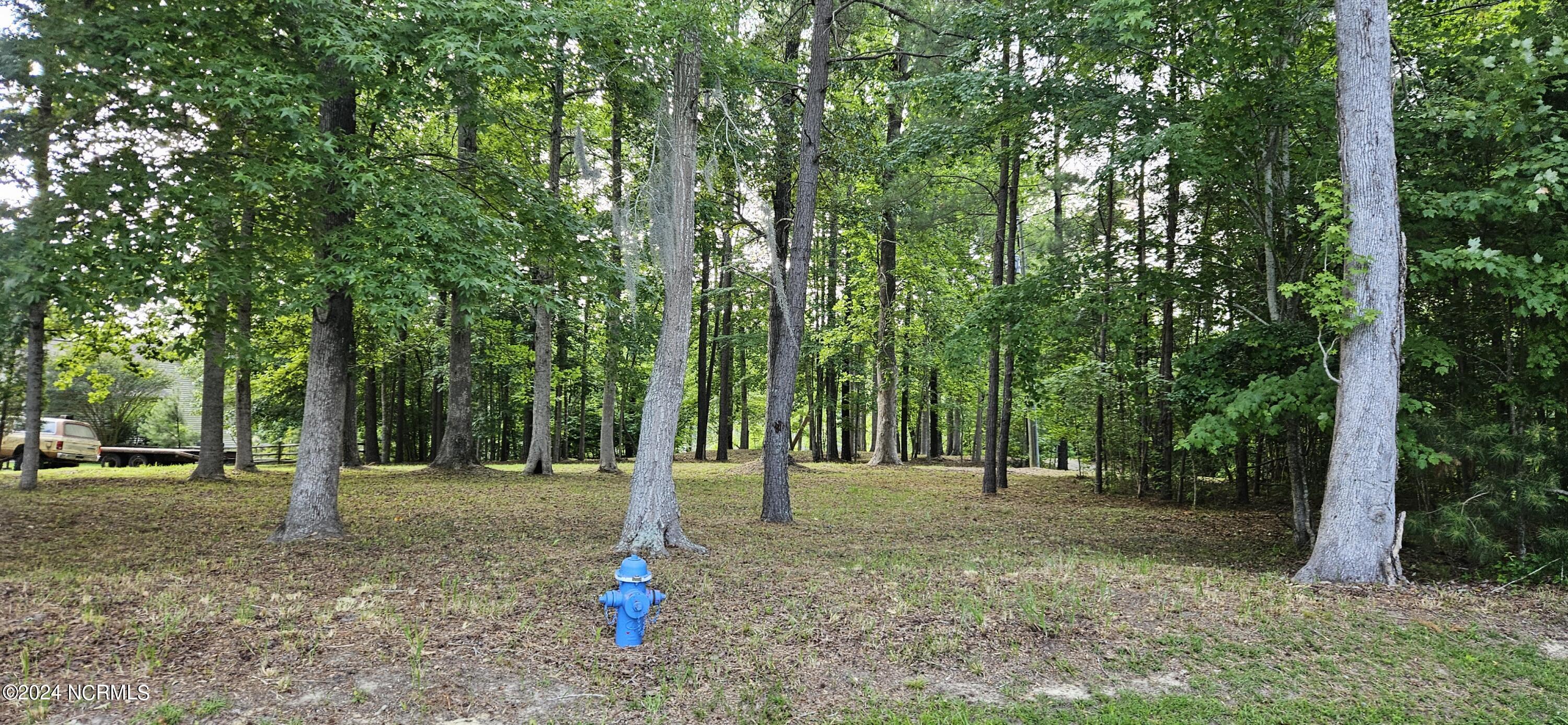 55 Long Point Road Chocowinity, NC 27817 - Photo 10 of 20 Roadside view