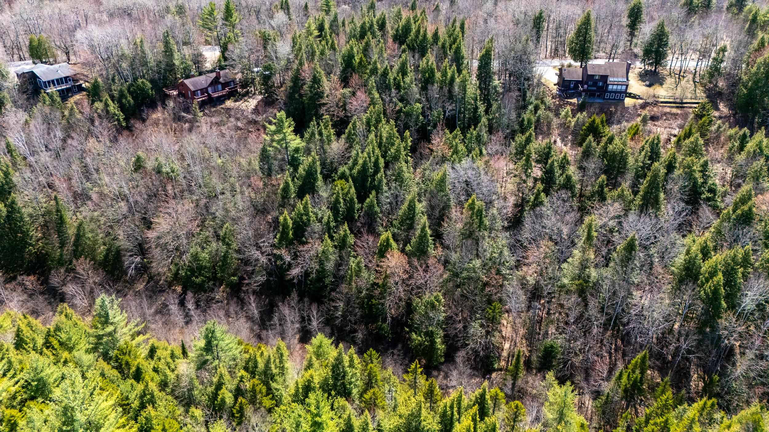 0 Green Hill Road, Unit LOT 165C5 Jackson, NH 03846 - Photo 30 of 30