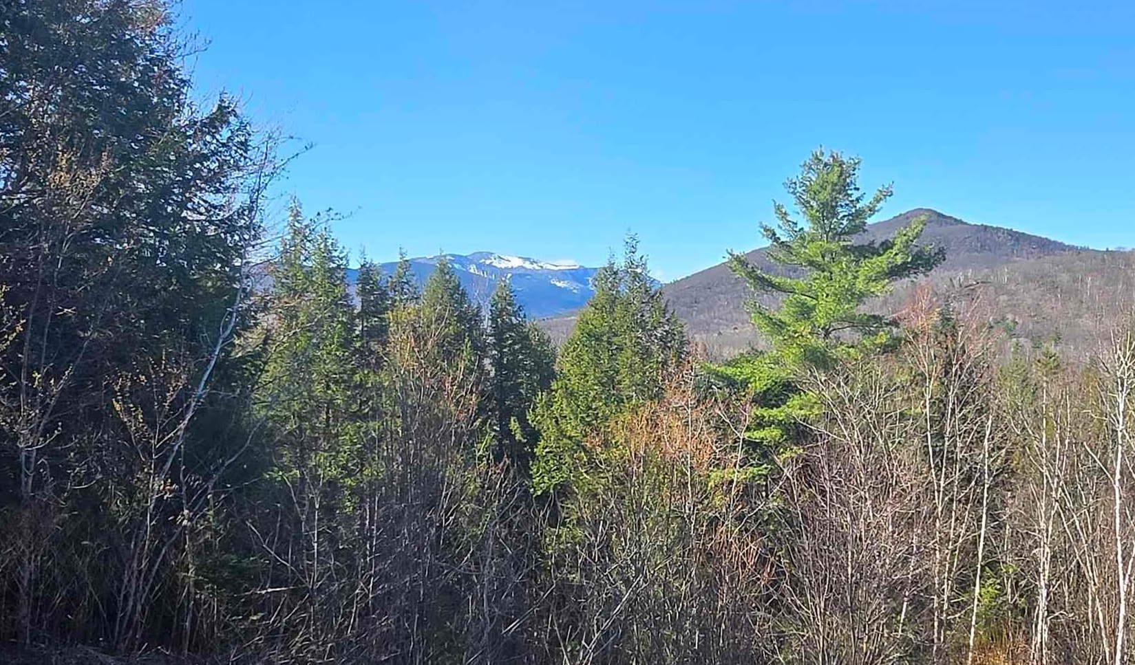 0 Green Hill Road, Unit LOT 165C5 Jackson, NH 03846 - Photo 3 of 10