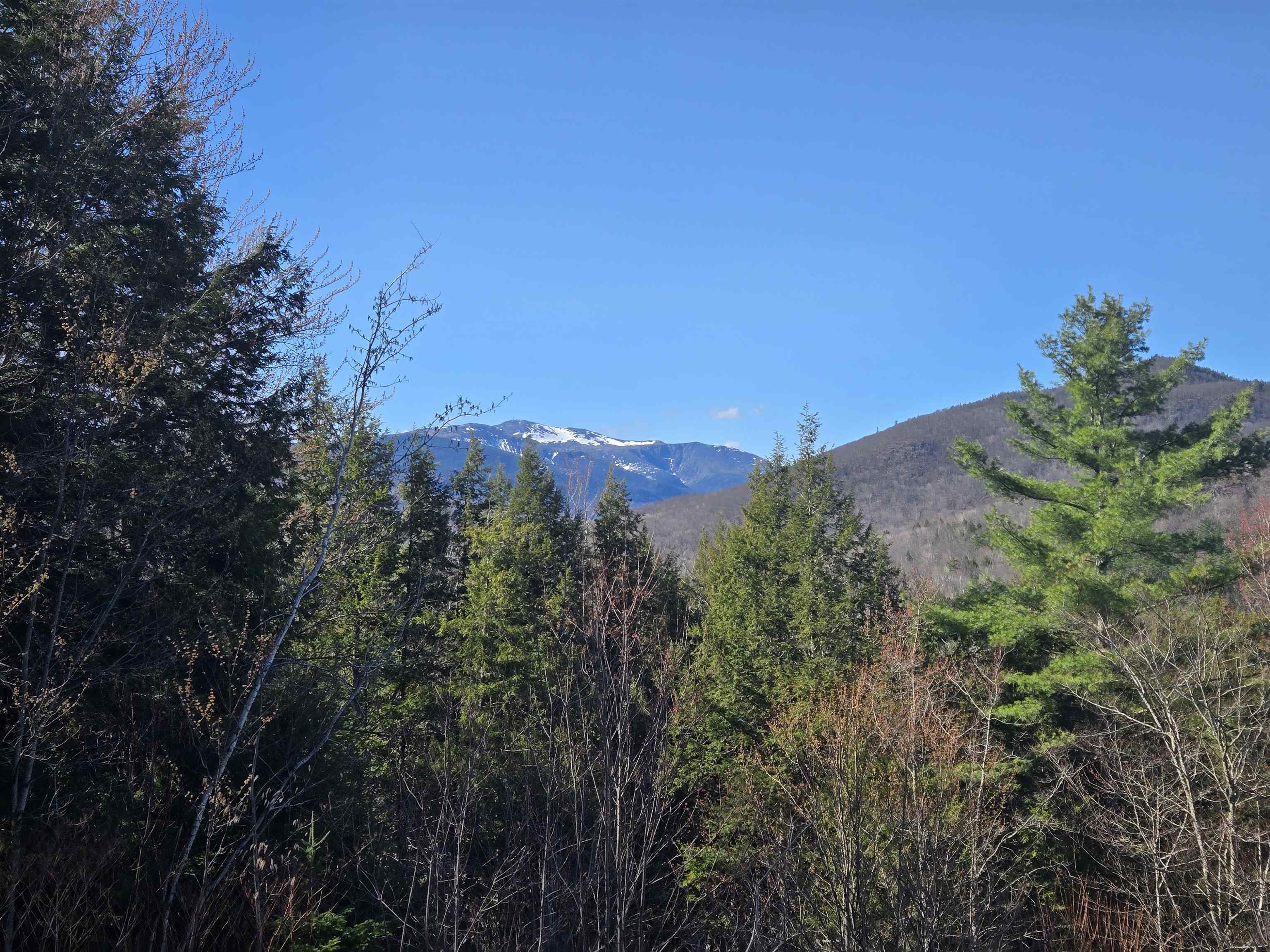 0 Green Hill Road, Unit LOT 165C5 Jackson, NH 03846 - Photo 4 of 10