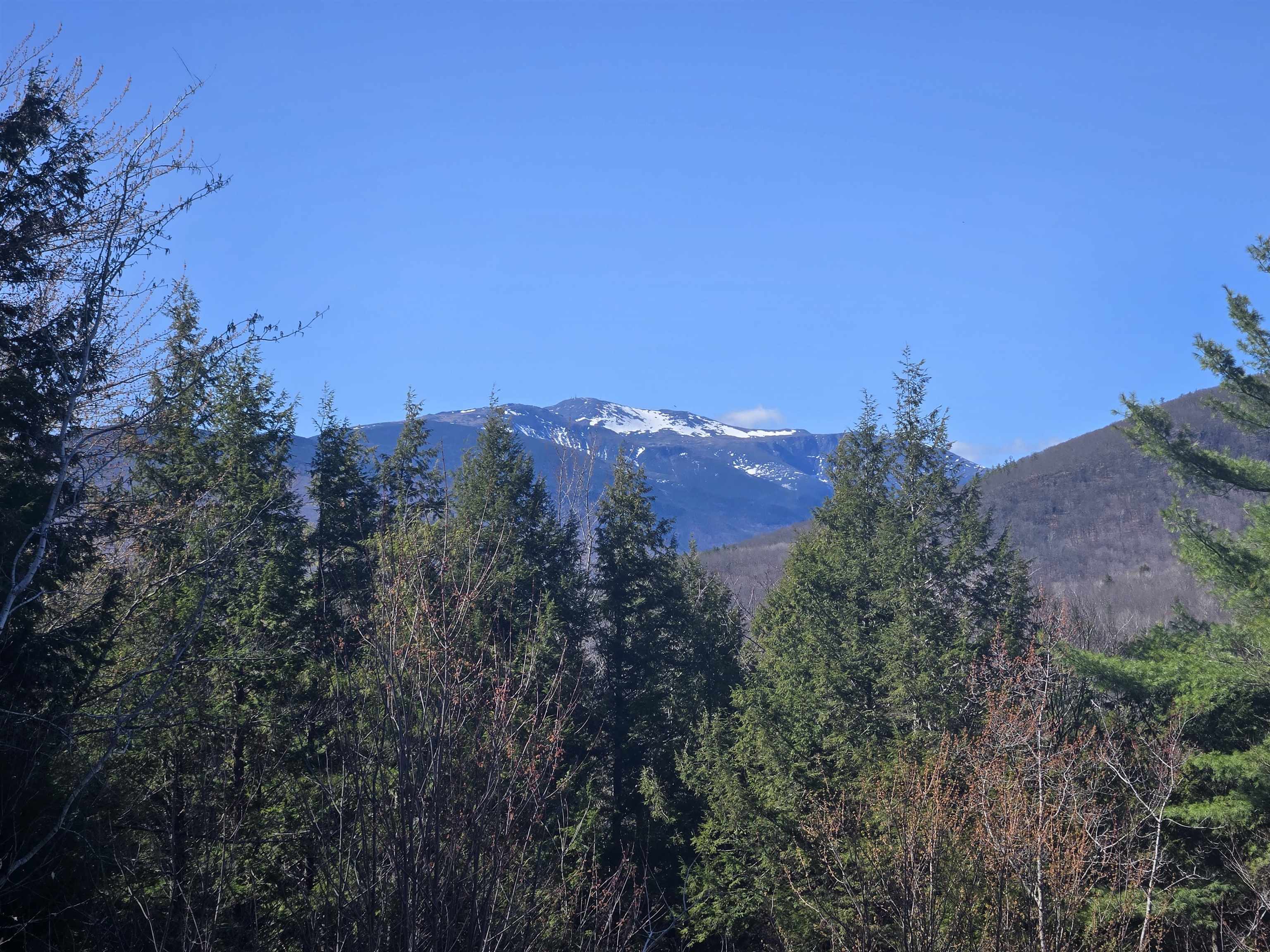 0 Green Hill Road, Unit LOT 165C5 Jackson, NH 03846 - Photo 5 of 10