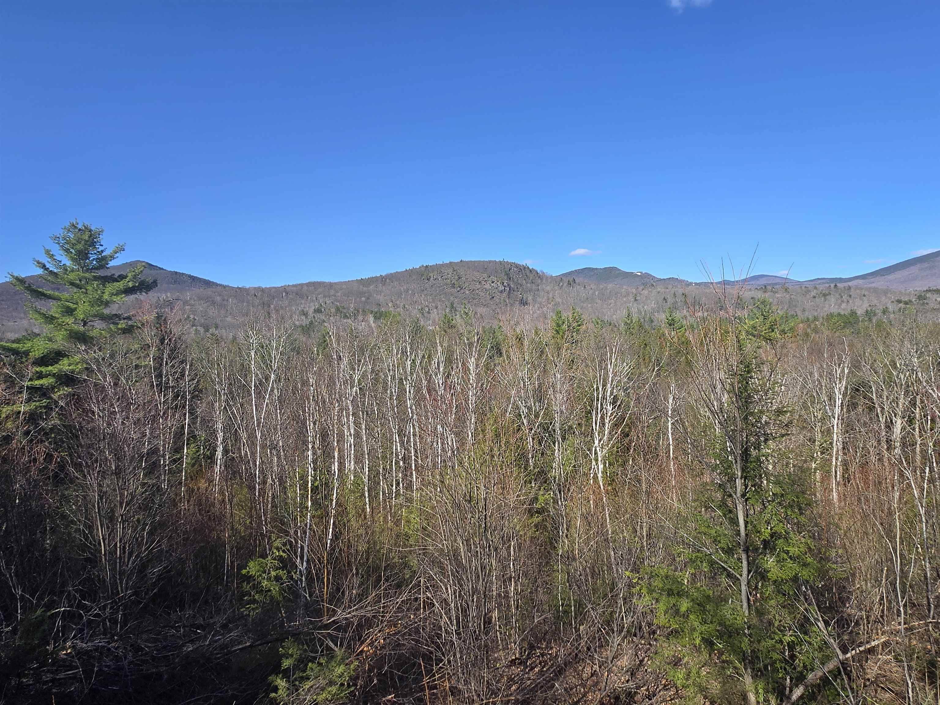 0 Green Hill Road, Unit LOT 165C5 Jackson, NH 03846 - Photo 6 of 10