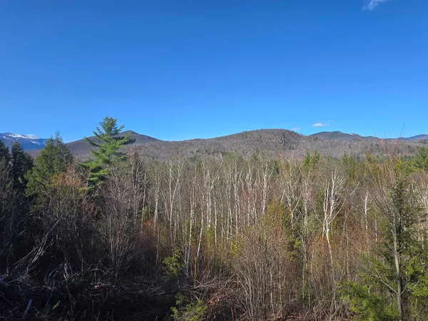 $425,000 | 0 Green Hill Road, Unit LOT 165C5, Jackson, NH 03846
