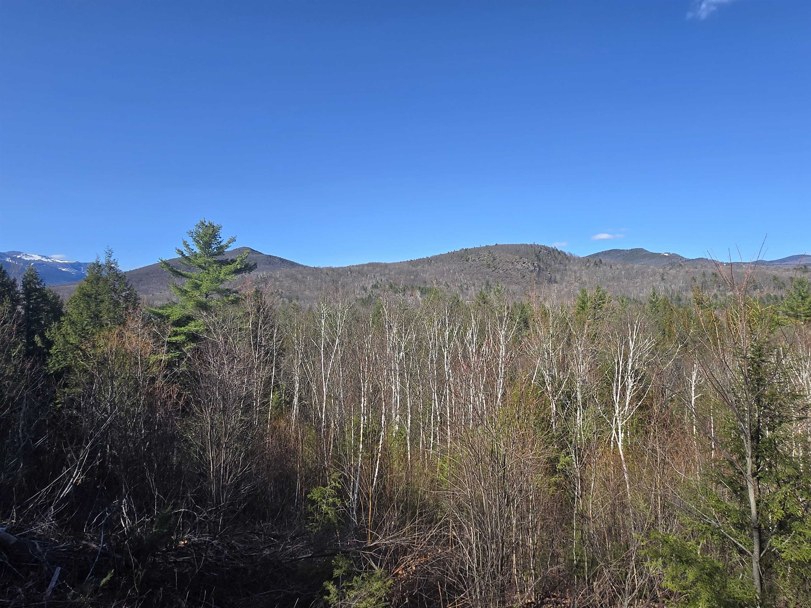 0 Green Hill Road, Unit LOT 165C5 Jackson, NH 03846 - Photo 7 of 10