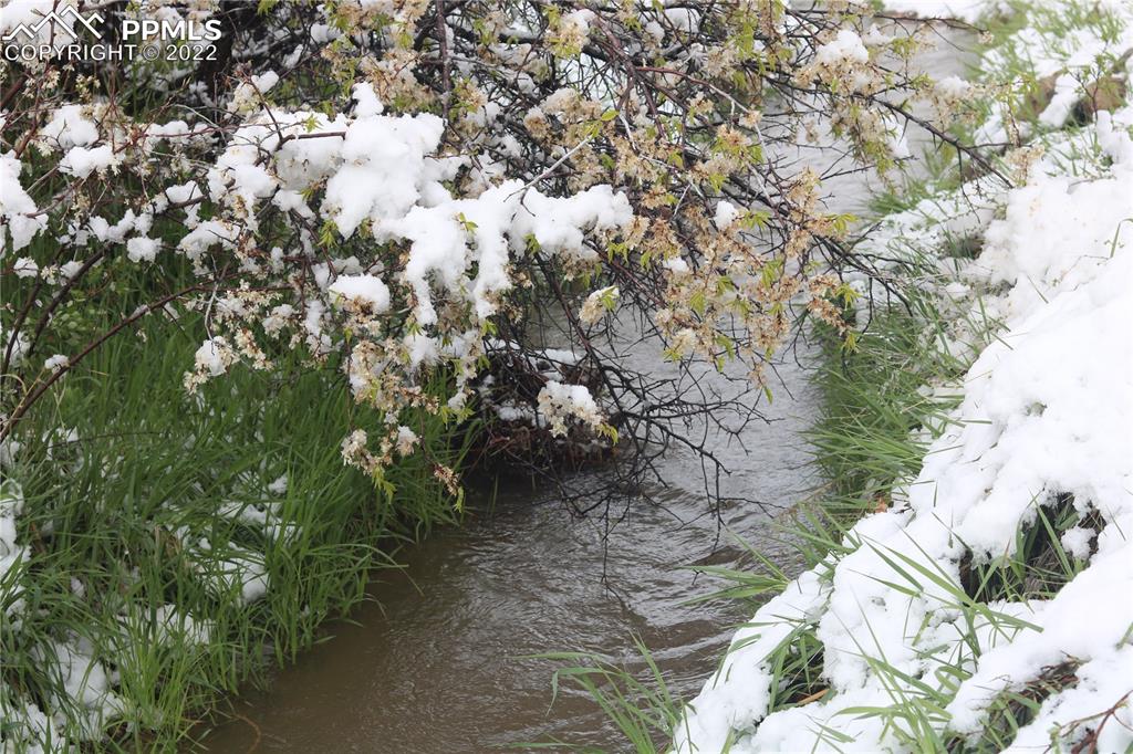 8225 3 R Road Beulah, CO 81023 - Photo 39 of 41 a picture of tree