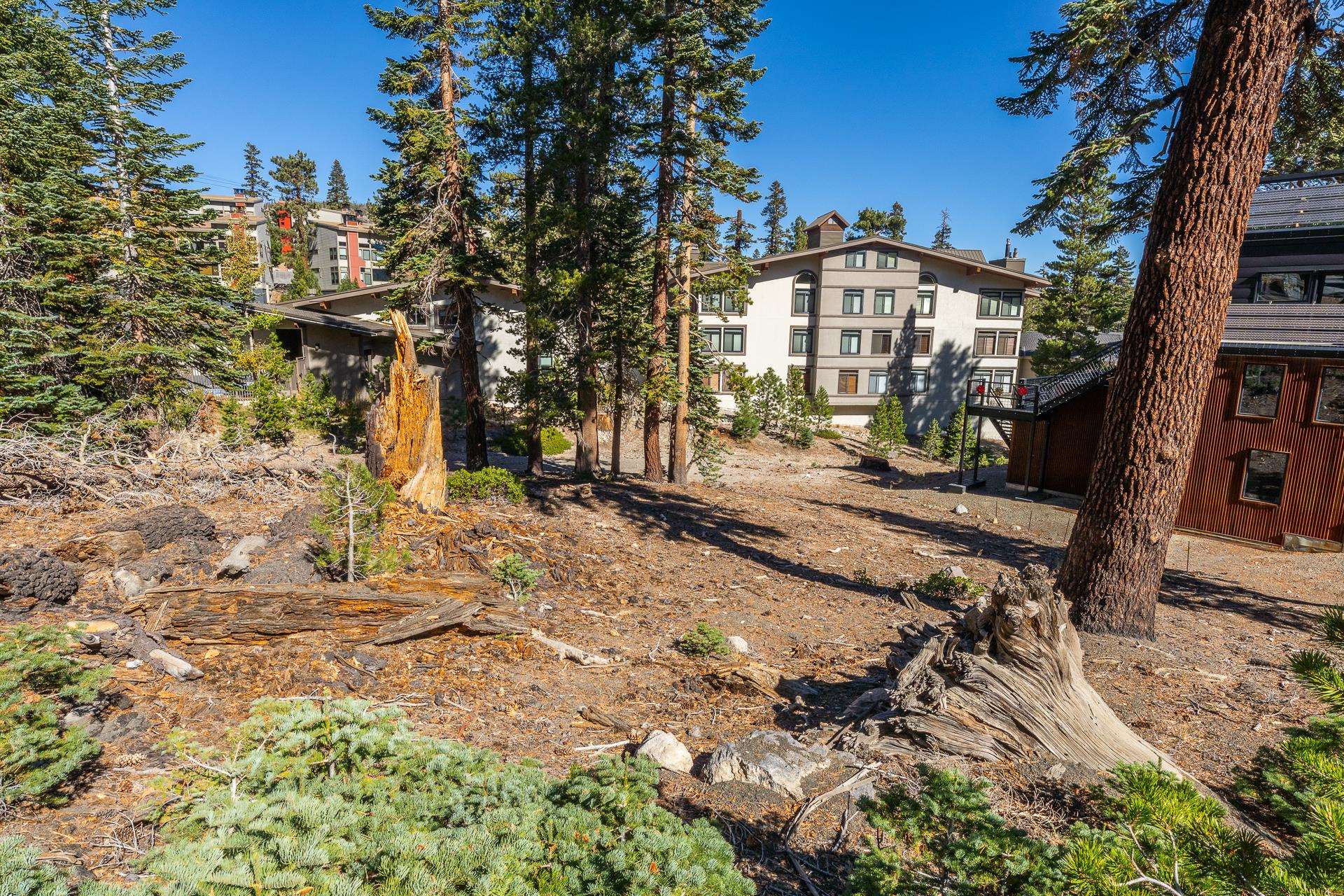 306 Davison Road, Unit 11 Mammoth Lakes, CA 93546 - Photo 7 of 21