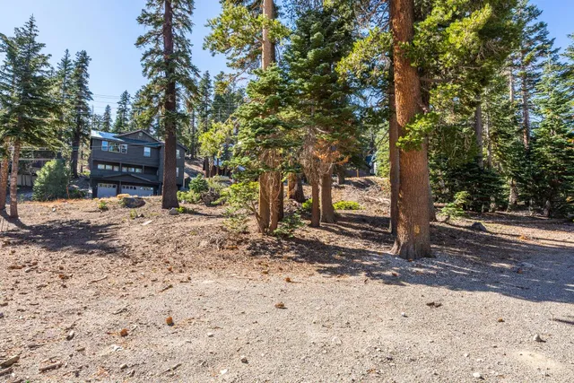 a view of a yard with trees