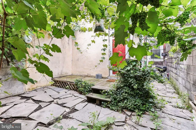 a view of a yard with chairs