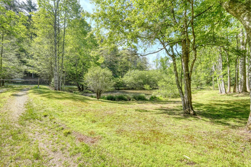 1493 Greasy Creek Road Brasstown, NC 28902 - Photo 50 of 51