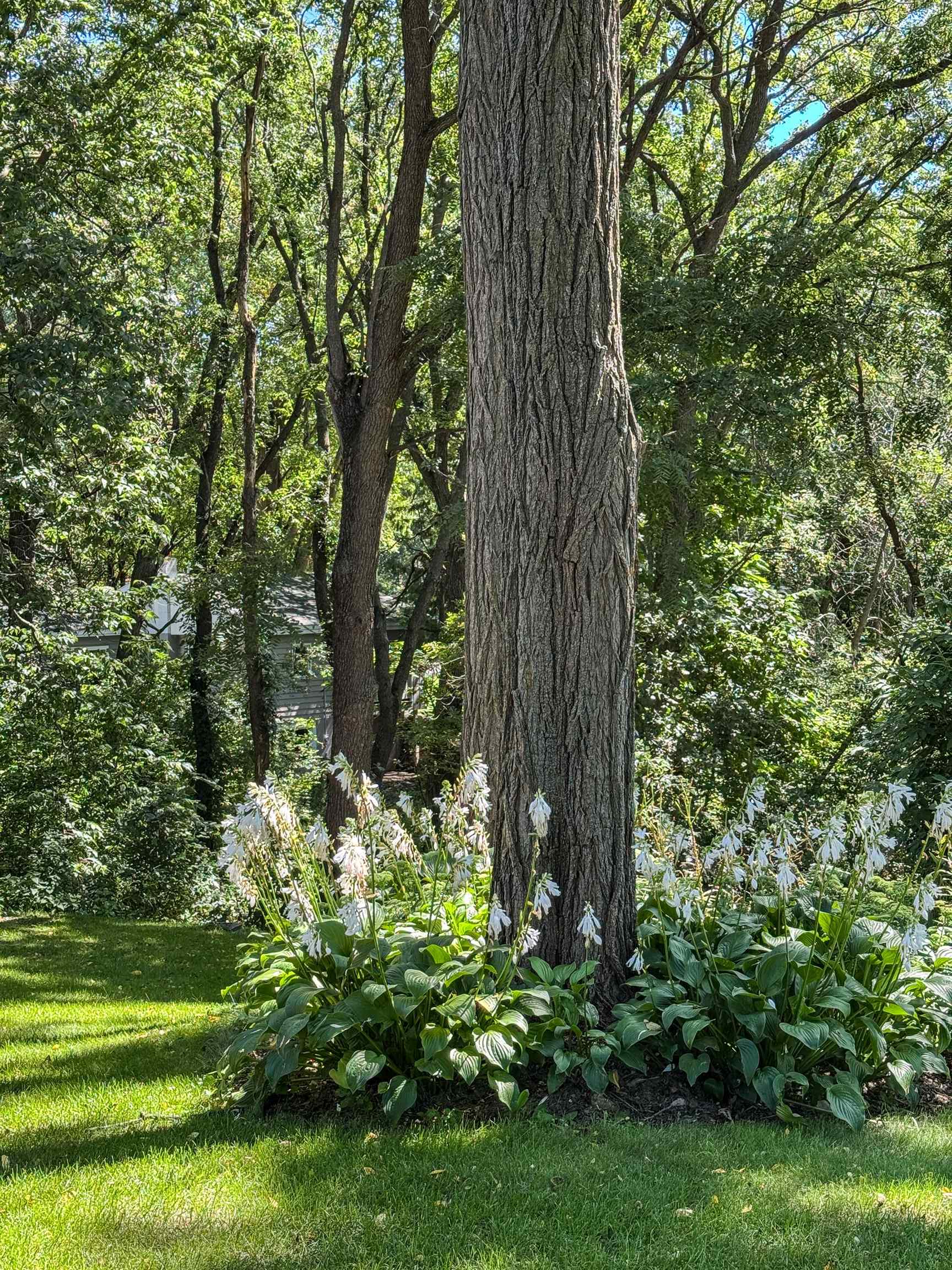 2001 Timber Lake Road Oregon, WI 53575 - Photo 77 of 82