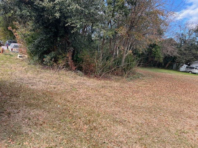 0 Harlin Street Elloree, SC 29047 - Photo 2 of 2