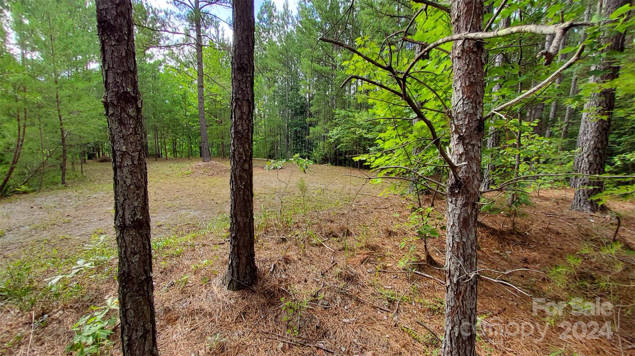 0 Sunset Drive, Unit 12 Mill Spring, NC 28756 - Photo 11 of 21 a view of a yard with large tree