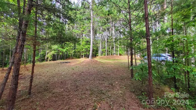a view of backyard with green space and trees