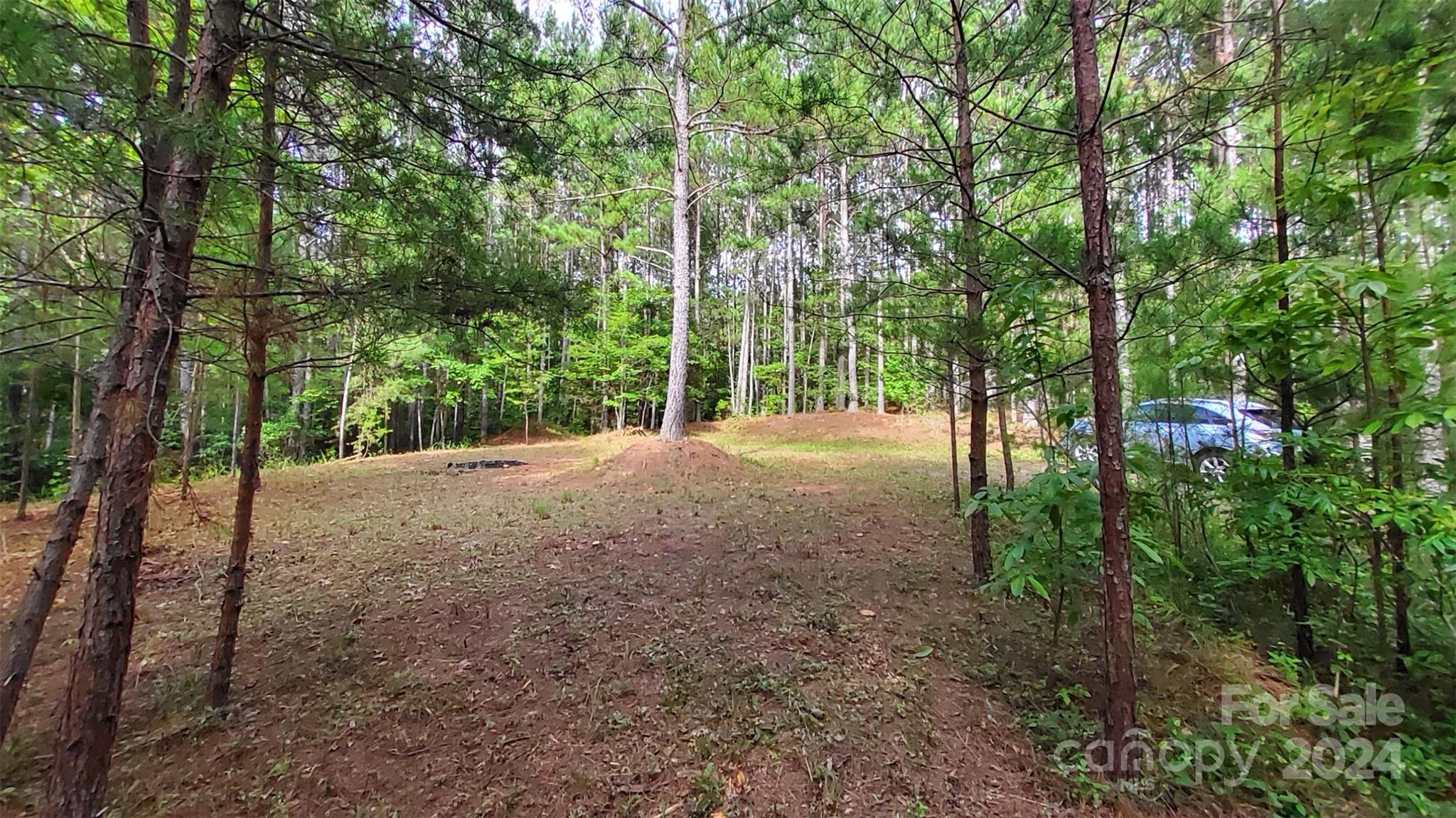 0 Sunset Drive, Unit 12 Mill Spring, NC 28756 - Photo 12 of 21 a view of backyard with green space and trees