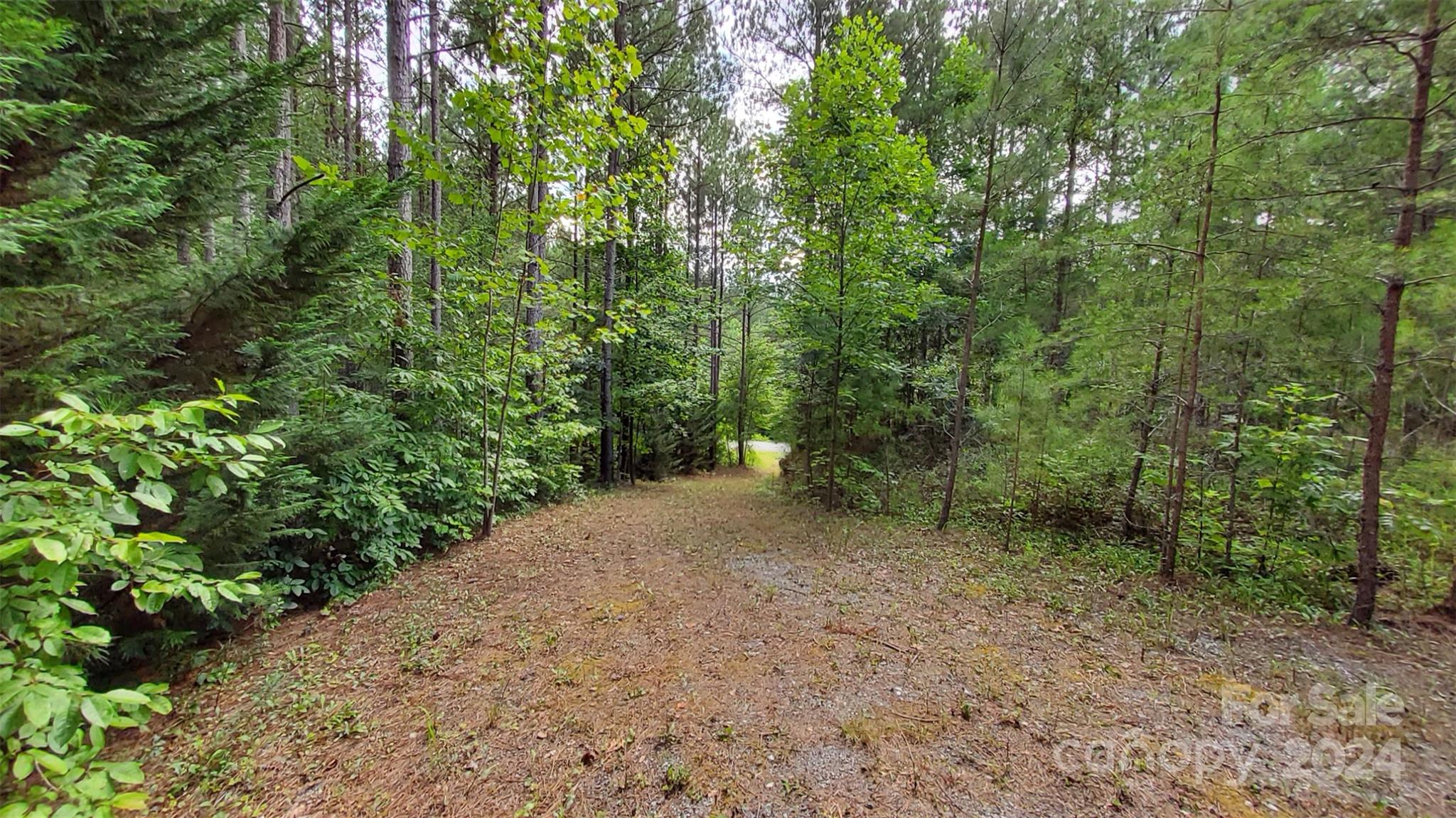 0 Sunset Drive, Unit 12 Mill Spring, NC 28756 - Photo 13 of 21 a view of a forest with trees in the background