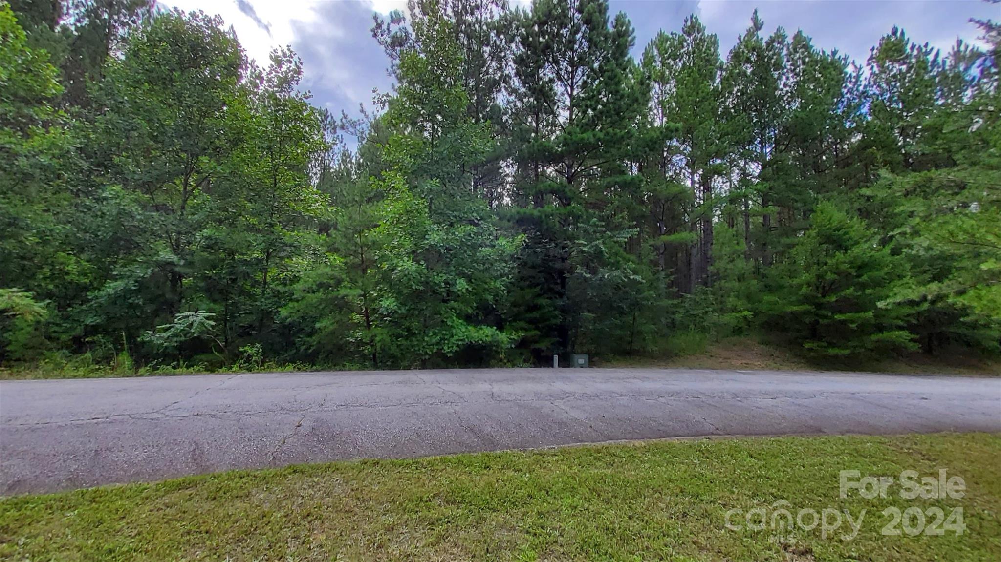 0 Sunset Drive, Unit 12 Mill Spring, NC 28756 - Photo 15 of 21 a view of yard with green space