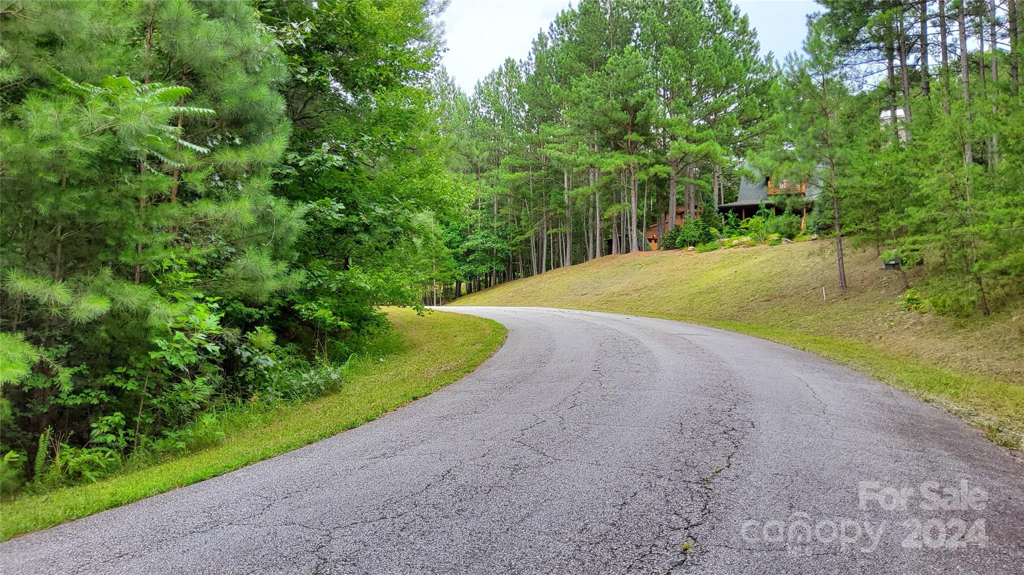 0 Sunset Drive, Unit 12 Mill Spring, NC 28756 - Photo 16 of 21 a view of a backyard
