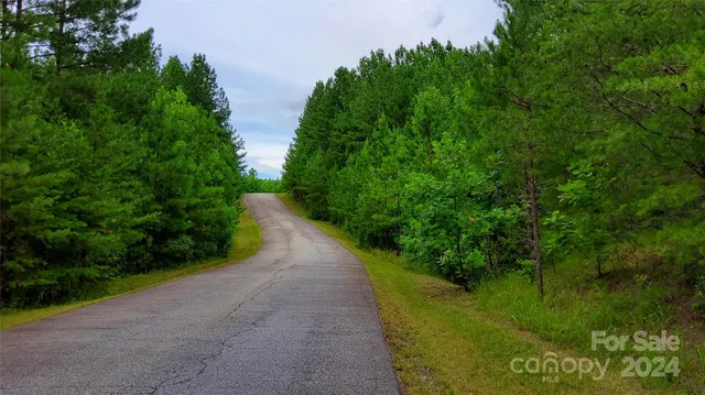 a view of a pathway both side of green space
