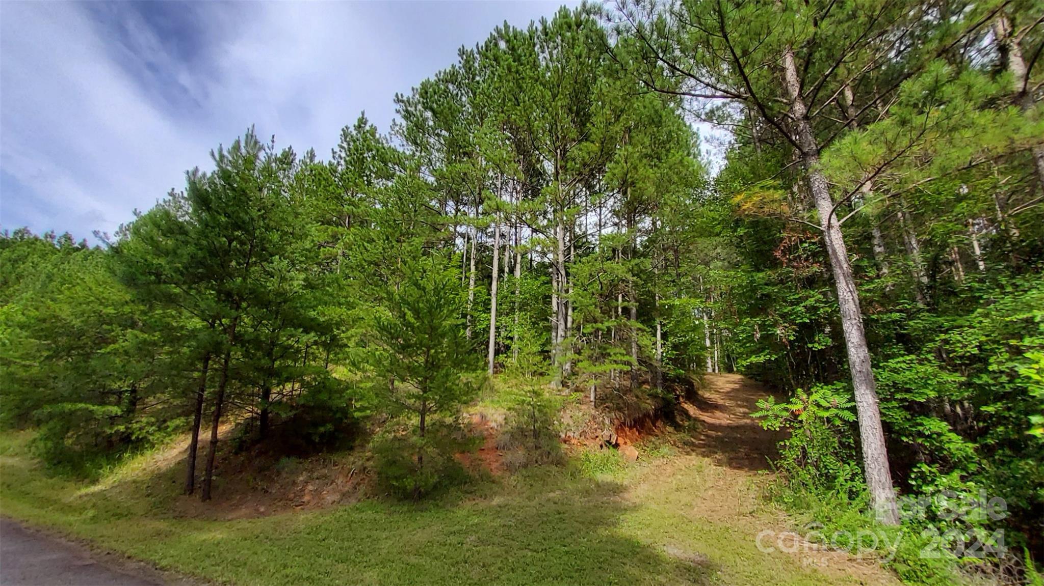 0 Sunset Drive, Unit 12 Mill Spring, NC 28756 - Photo 18 of 21 a backyard of a house with lots of green space