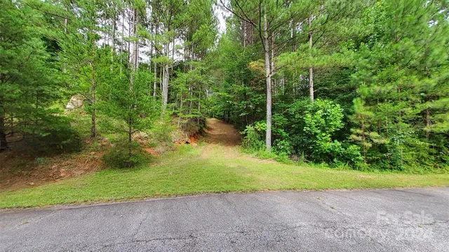 a view of a yard and basketball court