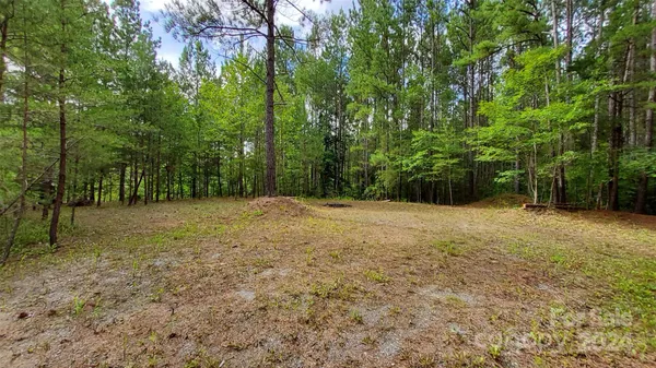 a view of backyard with green space