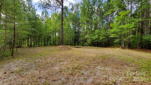 a view of backyard with green space