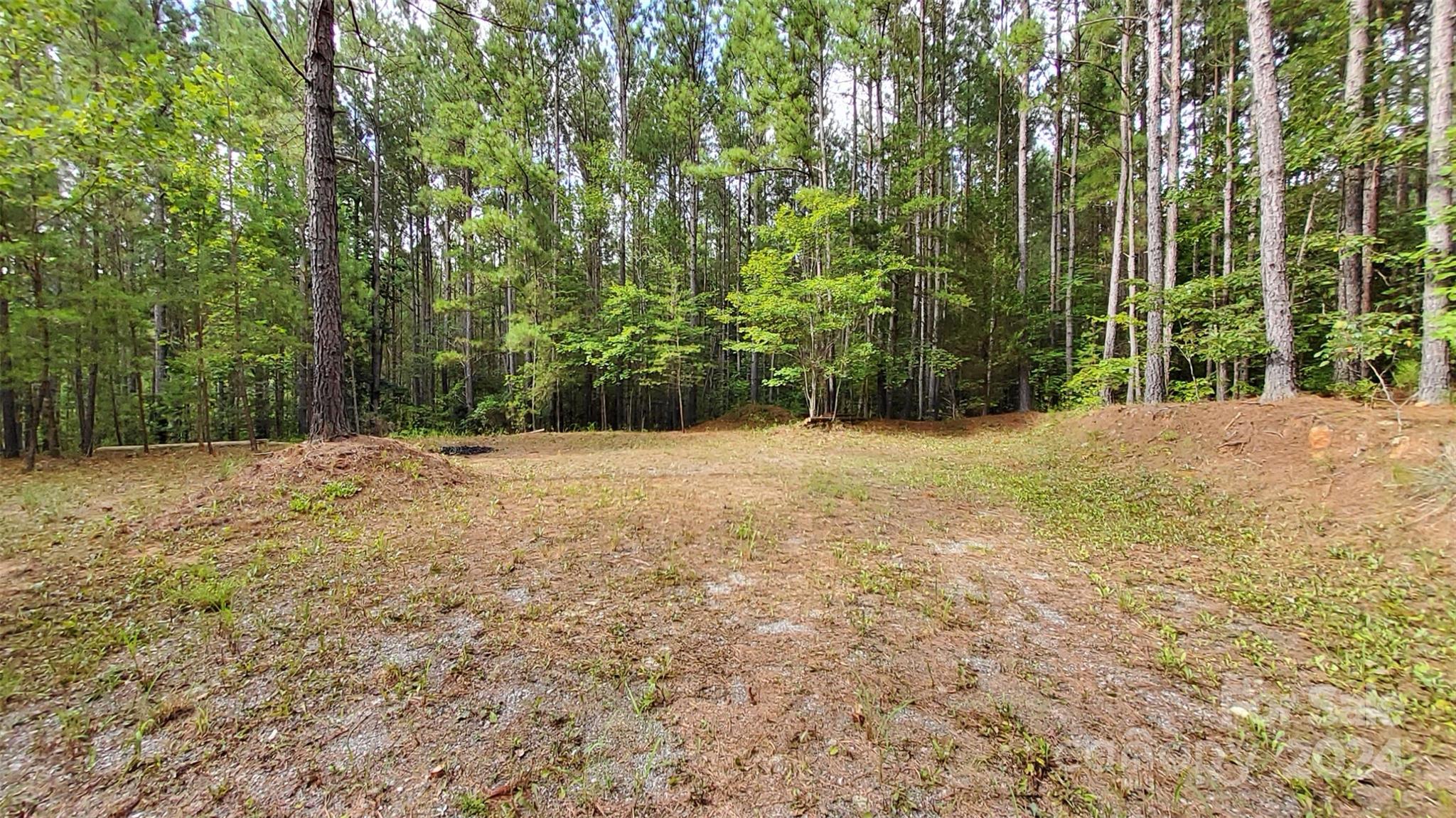 0 Sunset Drive, Unit 12 Mill Spring, NC 28756 - Photo 4 of 21 a view of a yard with trees