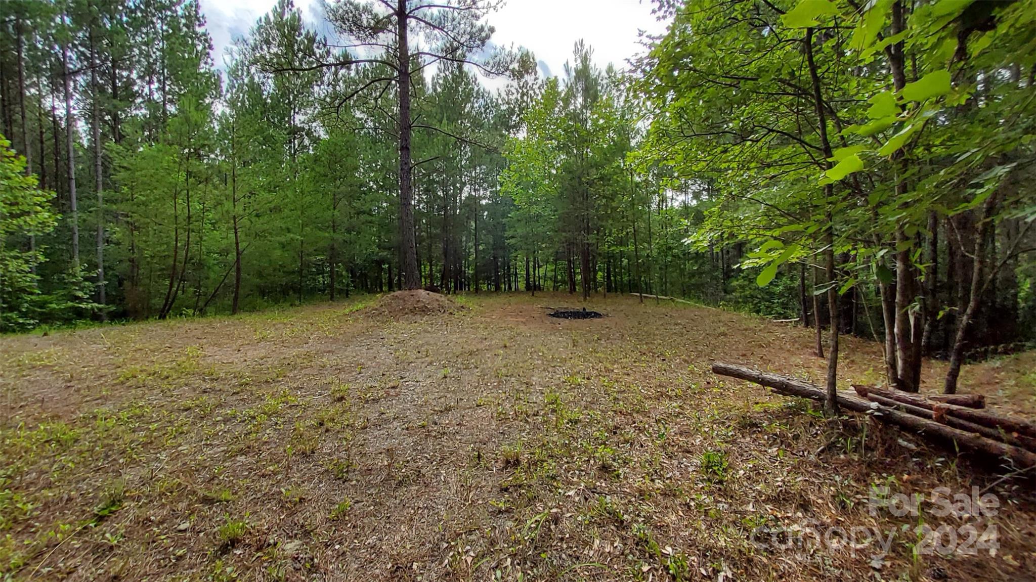 0 Sunset Drive, Unit 12 Mill Spring, NC 28756 - Photo 5 of 21 a view of a forest with trees in the background