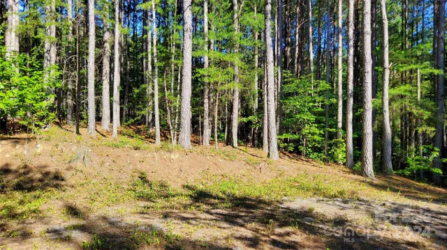 a view of a backyard of the house