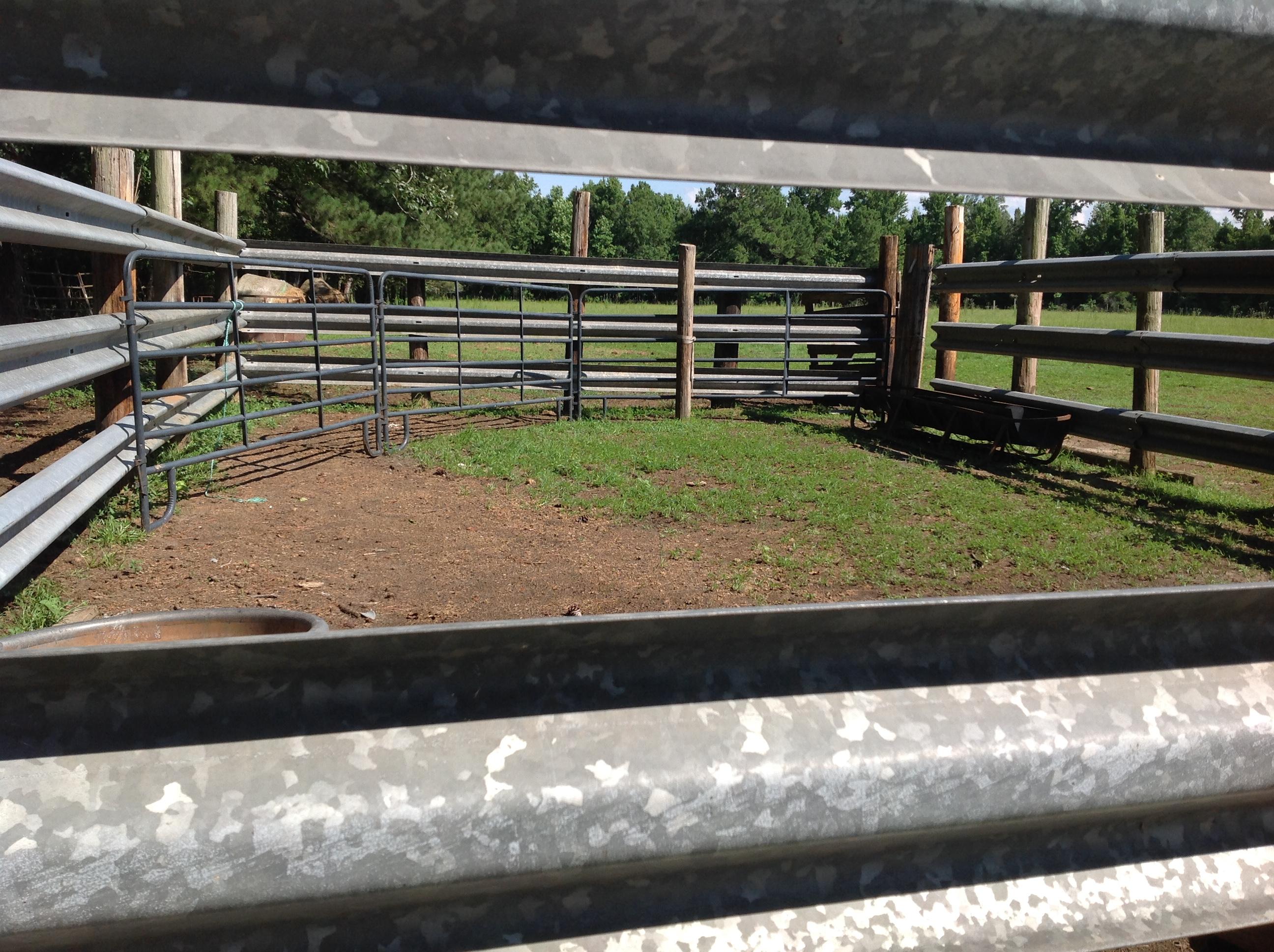 182 Radio Road St. George, SC 29477 - Photo 5 of 25 Catch pen