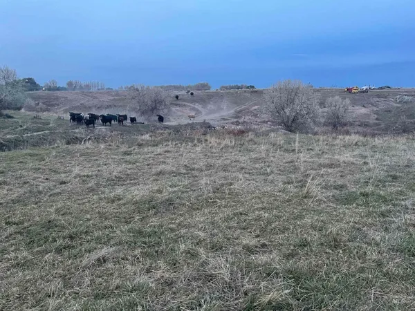 $750,000 | 525 East 150 South, Burley, ID 83318