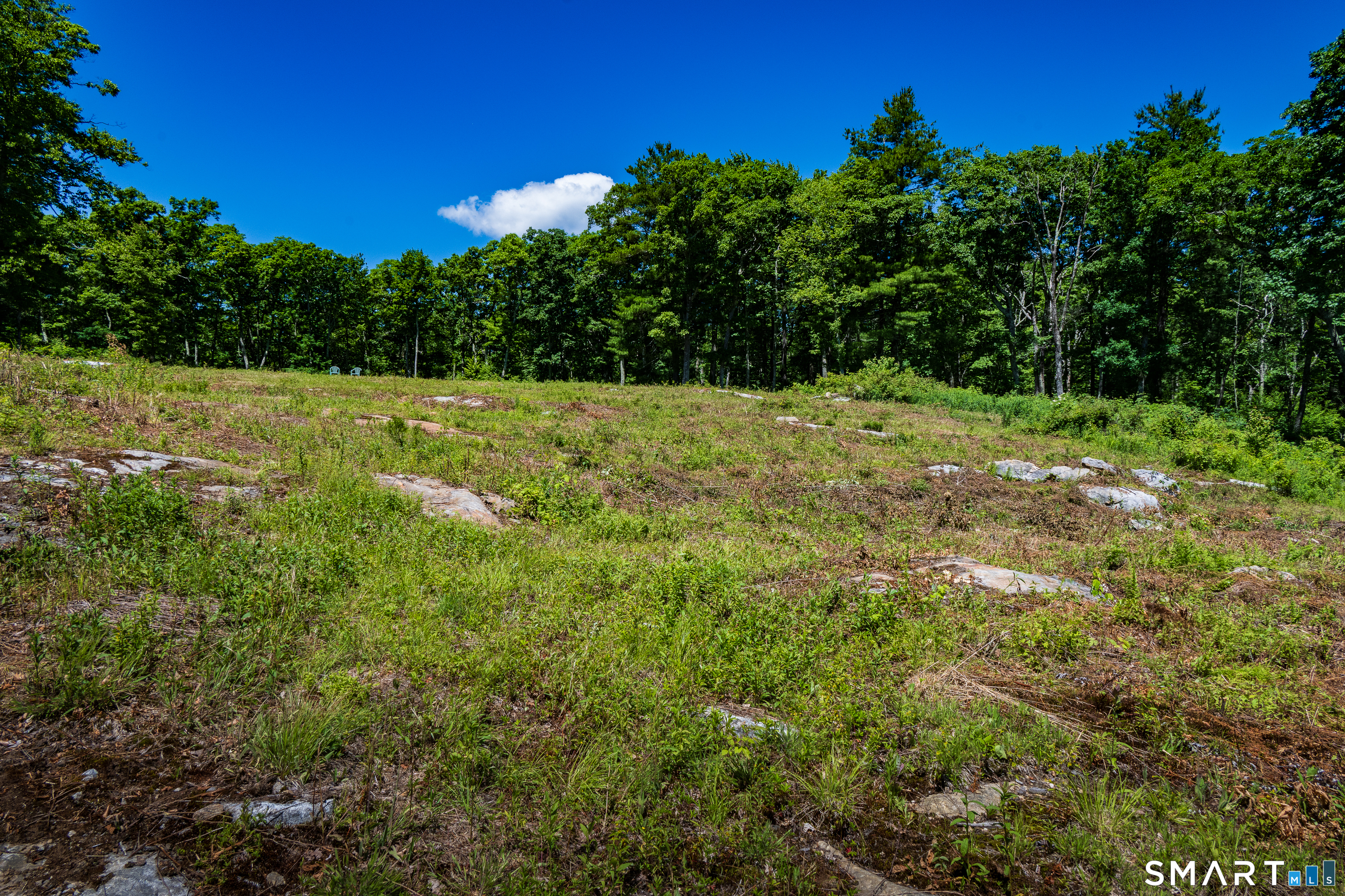 Westwoods Road, Unit 2 Sharon, CT 06069 - Photo 10 of 27 Gallery Image 10