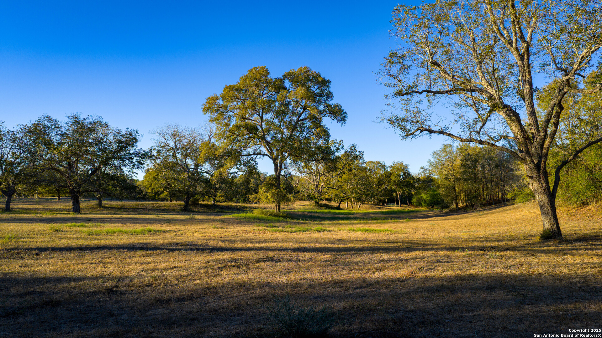 380 Clinton Road Cuero, TX 77954 - Photo 10 of 22